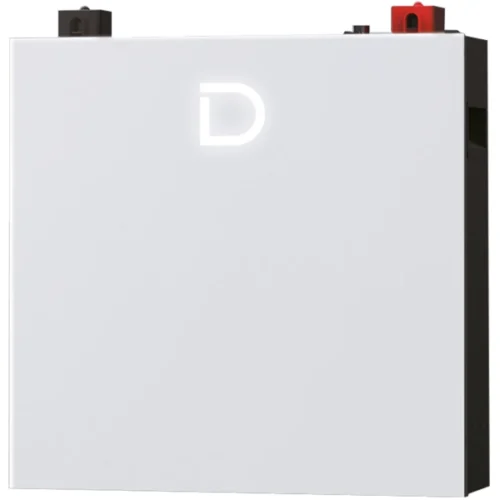 Літієва акумуляторна батарея Dyness DL5.0C PRO 51.2В 5.12 кВт•год 100А з підігрівом Wi-Fi модулем